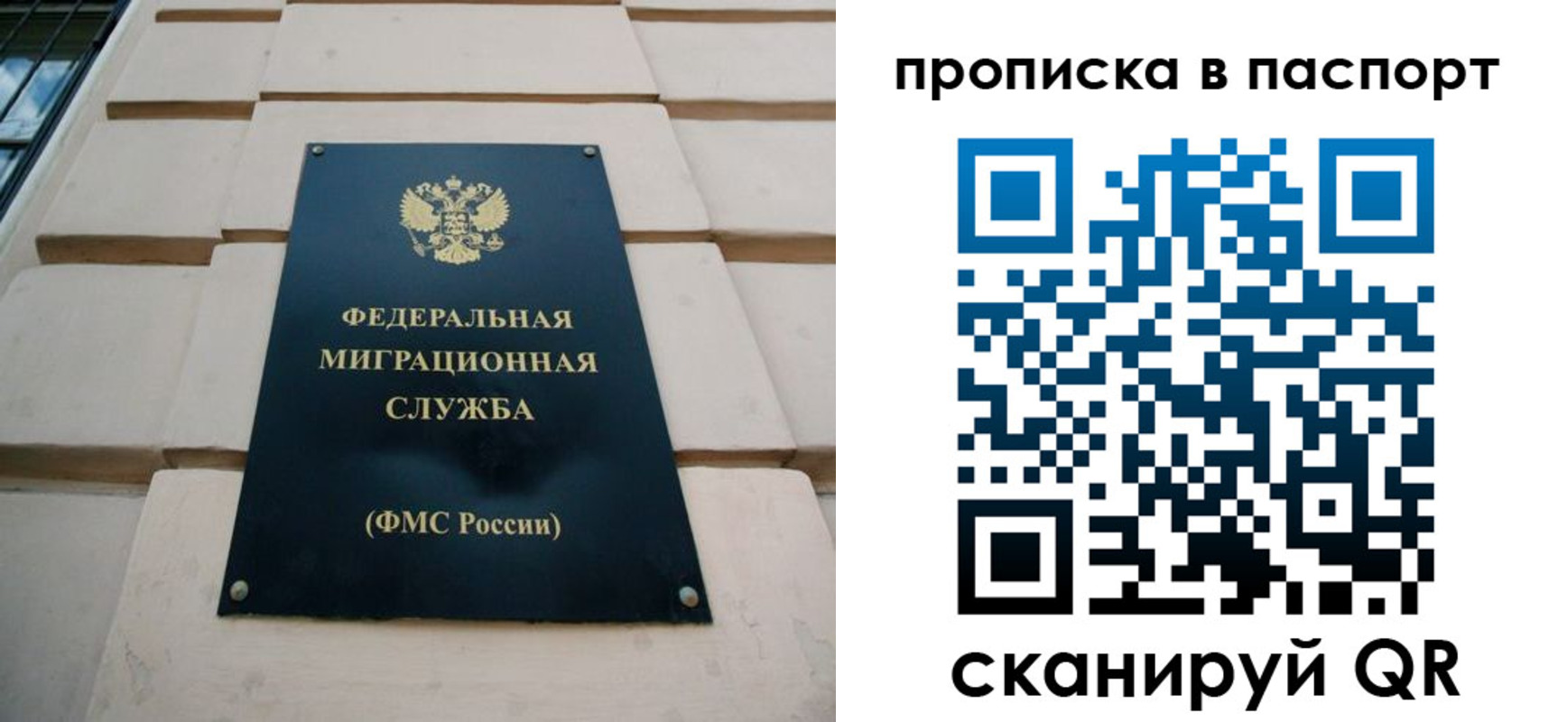 прописка для работы в Снежногорске
